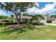 Beautifully landscaped front yard with mature trees, lush greenery, and a well-maintained lawn at 12506 Twisted Oak Dr, Tampa, FL 33624