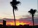 Striking sky at sunset featuring palm trees and city skyline silhouettes at 1847 Shore Drive S # 415, South Pasadena, FL 33707