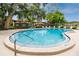 Community pool and lounge area surrounded by trees at 1881 Lichen Ln # B, Clearwater, FL 33760