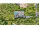 Aerial view of home with a screened-in pool surrounded by lush landscaping at 2435 Fox Forest Dr, Lutz, FL 33549