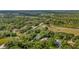 Expansive aerial view of a residential area featuring tree coverage and views of nearby fields at 2435 Fox Forest Dr, Lutz, FL 33549