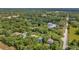 Aerial shot of neighborhood with wooded area and scattered homes, showcasing the landscape at 2435 Fox Forest Dr, Lutz, FL 33549