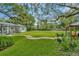 Expansive backyard with lush lawn, mature trees, and pool, perfect for outdoor living at 2435 Fox Forest Dr, Lutz, FL 33549