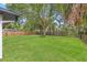 A backyard, surrounded by a fence and large, mature trees at 3408 W Swann Ave, Tampa, FL 33609