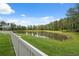 A picturesque pond view from the backyard, framed by lush greenery at 34797 Rainville Loop, Zephyrhills, FL 33541