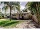 Charming single-story home with a tropical landscaped front yard and driveway at 4479 Newark N St, St Petersburg, FL 33714