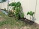 Landscaped backyard with planter boxes and a variety of plants, adding a touch of nature at 11513 Andy Dr, Riverview, FL 33569