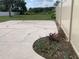 Backyard with newly planted garden at 11513 Andy Dr, Riverview, FL 33569