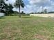 Expansive backyard with mature palm tree, ready for outdoor enjoyment and activities at 11513 Andy Dr, Riverview, FL 33569