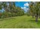 Lush green backyard with neatly mowed lawn and mature trees at 1401 Camelot Ct, Palm Harbor, FL 34684
