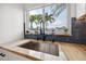 Stainless steel sink with marble countertop and garden window overlooking palm trees at 1424 47Th Ne Ave, St Petersburg, FL 33703
