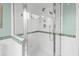 Beautiful glass-enclosed shower with dual shower heads and decorative tile accents at 1917 Iowa Ne Ave, St Petersburg, FL 33703