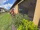 Landscaped backyard featuring vibrant plants, green grass, and a screened patio, ideal for outdoor living at 21008 Fetterbush Pl, Venice, FL 34293