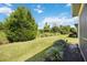 Lush backyard with healthy green lawn and mature landscaping, great for outdoor enjoyment at 21008 Fetterbush Pl, Venice, FL 34293
