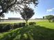 A lush green lawn with a tree and bushes on a sunny day with a building and street in the background at 2302 Maki Rd # 2, Plant City, FL 33563