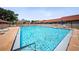 Beautiful community pool with ample lounge chairs and umbrellas, surrounded by lush landscaping at 2460 Northside Dr # 802, Clearwater, FL 33761