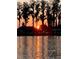 Breathtaking sunset view over the tranquil lake, creating a serene and picturesque ambiance at 2566 Lake Manor Dr, Land O Lakes, FL 34639