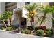 Exterior building entrance featuring landscaping with palm trees at 2621 Cove Cay Dr # 302, Clearwater, FL 33760