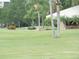 Scenic golf course view surrounded by verdant green grass and mature trees at 2621 Cove Cay Dr # 302, Clearwater, FL 33760