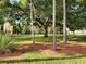 Lush grassy yard with mature trees and vibrant green plants at 2621 Cove Cay Dr # 302, Clearwater, FL 33760