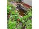 Lush landscaping surrounds the pond featuring a small waterfall at 3101 Beaver Pond Trl, Valrico, FL 33596