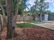 Backyard view from tree cover showcasing a putting green, shed, fire pit, and wood deck at 318 W Crest Ave, Tampa, FL 33603