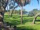 Idyllic park with a serene lake view, featuring lush greenery and mature trees, creating a relaxing natural setting at 318 W Crest Ave, Tampa, FL 33603