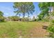 Expansive backyard with mature trees, providing privacy and a serene outdoor setting at 358 Suwanee Ave, Sarasota, FL 34243