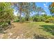 Lush backyard featuring mature trees and open green space, perfect for outdoor activities at 358 Suwanee Ave, Sarasota, FL 34243