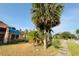 A nicely maintained front lawn featuring mature palm trees, and sidewalk access to front door at 7705 Nottinghill Sky Dr, Apollo Beach, FL 33572