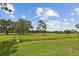 Large backyard offers a peaceful retreat surrounded by mature trees and greenery at 1443 54Th Ne Ave, St Petersburg, FL 33703