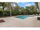 Private pool area featuring a custom pool, mature landscaping, and an adjacent patio perfect for outdoor enjoyment at 13501 Avista Dr, Tampa, FL 33624
