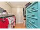 Spacious walk-in closet with shelves, hanging rods, and a turquoise dresser at 14130 Rosemary Ln # 3202, Largo, FL 33774