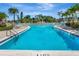Long outdoor swimming pool with 8 1/2 feet of depth, surrounded by palm trees and clear blue water at 14130 Rosemary Ln # 3202, Largo, FL 33774