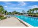 Outdoor community pool with a zero entry point, poolside seating, and lush landscaping under a sunny blue sky at 14130 Rosemary Ln # 3202, Largo, FL 33774