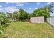 Large backyard shed with ample storage space, surrounded by a well-maintained lawn and mature trees at 1707 Cardinal Dr, Clearwater, FL 33759