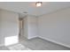Cozy bedroom with carpet and abundant natural light at 17834 Althea Blue Pl, Lutz, FL 33558