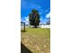 Spacious backyard with a large tree and a white privacy fence, perfect for outdoor activities at 221 Fairmont Dr, Spring Hill, FL 34609