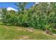 Beautifully landscaped backyard has an in-ground fire pit surrounded by lush greenery at 26972 Evergreen Chase Dr, Wesley Chapel, FL 33544