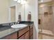 Bright bathroom featuring a single sink and a walk-in shower at 26972 Evergreen Chase Dr, Wesley Chapel, FL 33544