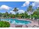 Community pool has palm trees and plenty of chairs and tables for lounging at 26972 Evergreen Chase Dr, Wesley Chapel, FL 33544