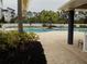 Community pool features a sunning area, palm trees, and landscaping around the pool's edge at 3512 Osprey Cove Dr, Riverview, FL 33578