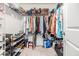 Walk-in closet with shelving, rods, and ample storage for clothing and accessories at 36414 Well Hill Way, Zephyrhills, FL 33541