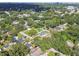 Scenic aerial view of a quiet residential area with mature trees, highlighting the neighborhood's peaceful atmosphere at 4009 S Renellie Dr, Tampa, FL 33611