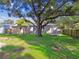 This home has a spacious backyard with a shed, fire pit and mature shade tree at 4009 S Renellie Dr, Tampa, FL 33611