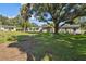 Spacious backyard featuring lush greenery, mature trees, and multiple outbuildings at 4009 S Renellie Dr, Tampa, FL 33611