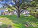 The spacious backyard has a large tree, a shed, and a custom stone fire pit at 4009 S Renellie Dr, Tampa, FL 33611