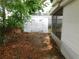 Backyard shed features double doors and is surrounded by trees and foliage at 4417 Kohler St, New Port Richey, FL 34652