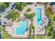 Aerial view of community pools with ample seating, surrounded by lush landscaping and palm trees, perfect for relaxing at 4716 Butler National Dr, Wesley Chapel, FL 33543