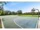 Outdoor basketball court surrounded by greenery, ideal for recreational games at 4716 Butler National Dr, Wesley Chapel, FL 33543